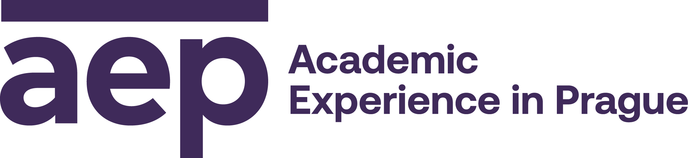 Academic Experience in Prague